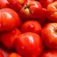 Tomates rondes à farcir 1kg