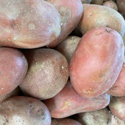 Pommes de terre rouges Manitou 1 Kg