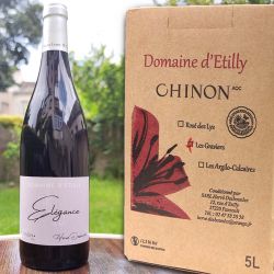 Vin Chinon rouge 2020 AOP HVE Graviers Cuvée Elegance BIB 5 L