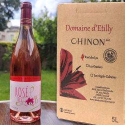 Vin Chinon rosé 2021 AOP HVE BIB 5 L