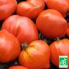 Tomates coeur de boeuf BIO (semences paysannes) 1Kg