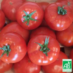 Tomates rondes BIO 1Kg