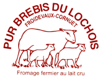 Logo Brebis Lochoix à la Brosse près de Perrusson en Touraine