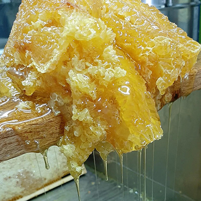 Morceau de miel des ruches de Laëticia et Loïc Apied-Hinault en Touraine